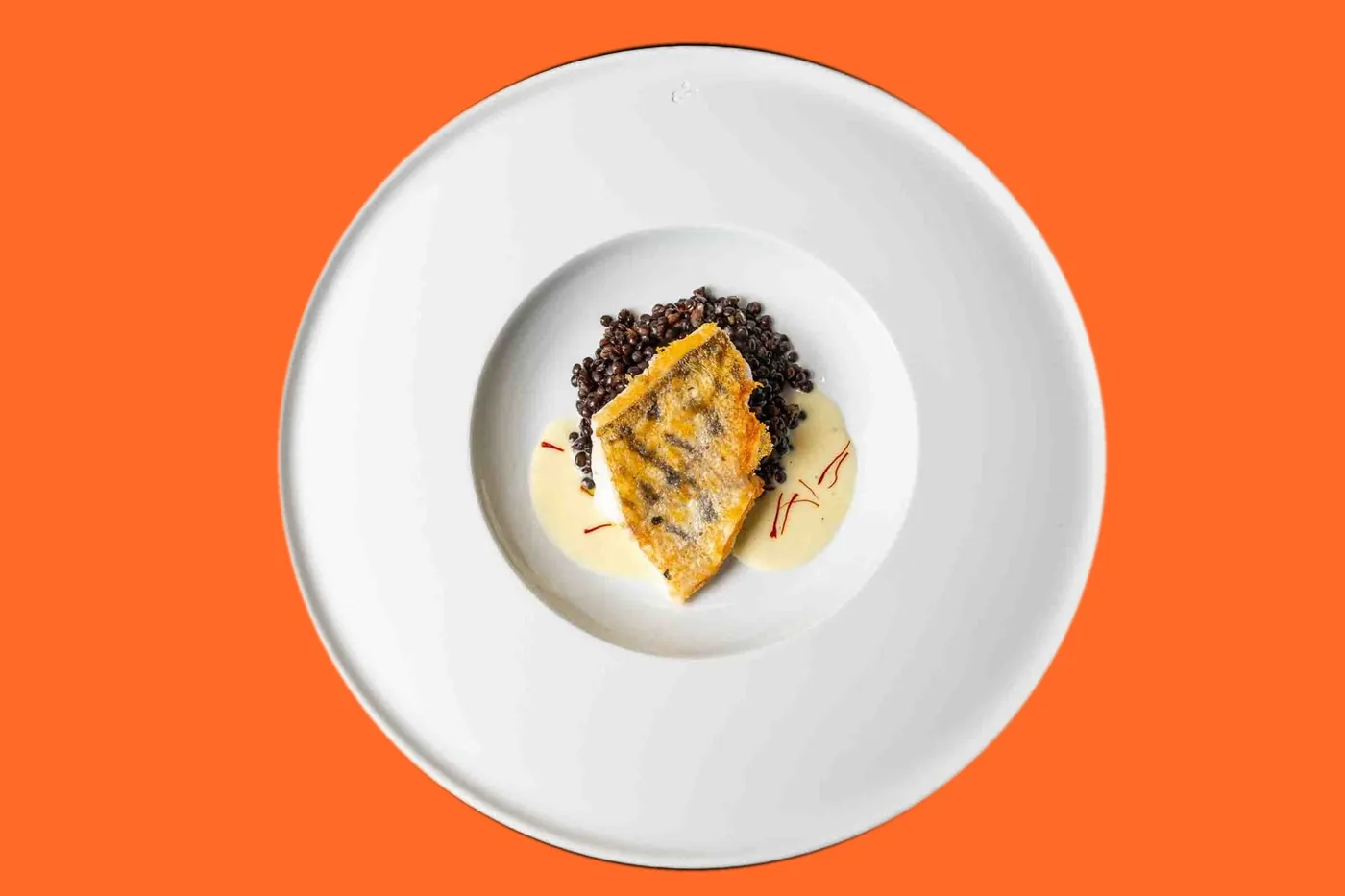 Zanderfilet auf orangem Grund